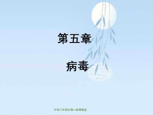 中学八年级生物—病毒概述