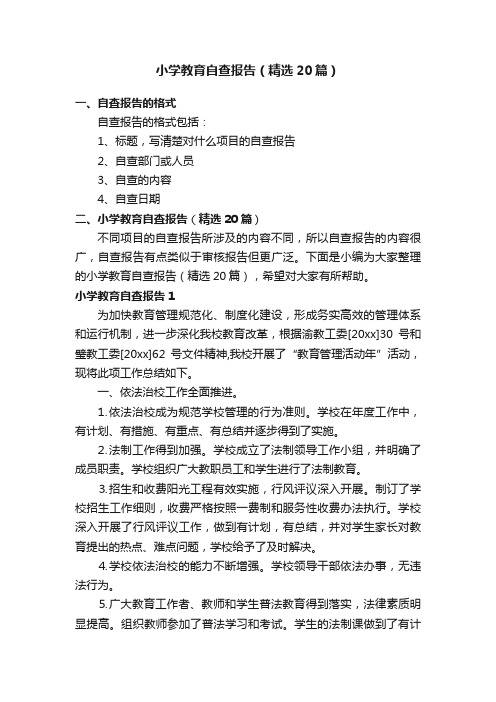 小学教育自查报告（精选20篇）