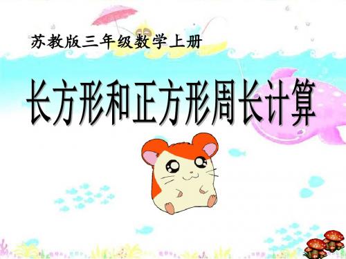 《长方形和正方形周长的计算》长方形和正方形PPT精品教学课件