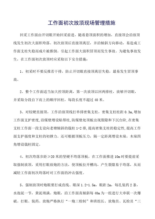 推荐-工作面初次放顶现场管理措施