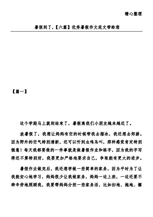 暑假到了,【六篇】优秀暑假作文范文带给您