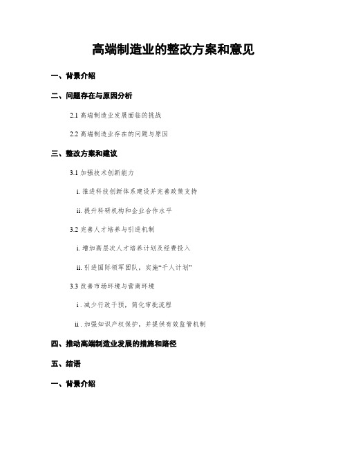高端制造业的整改方案和意见