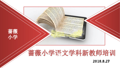 语文新教师培训.PPT