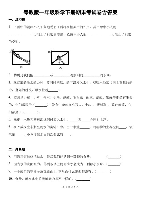 粤教版一年级科学下册期末考试卷含答案