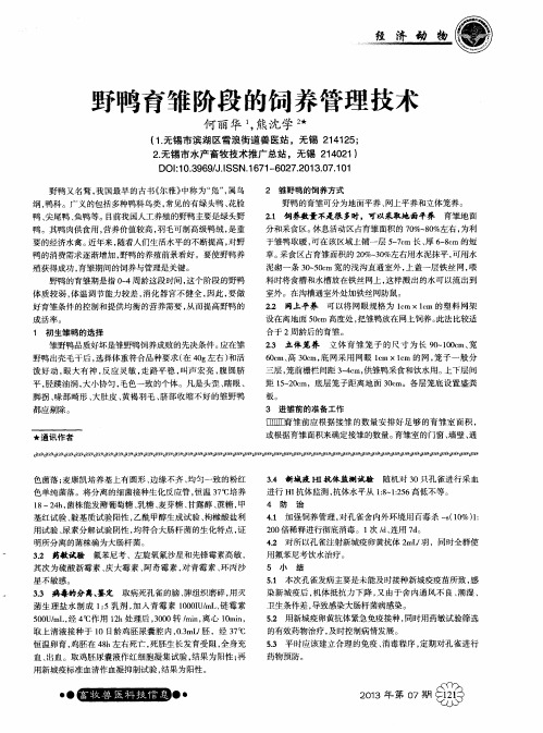 野鸭育雏阶段的饲养管理技术