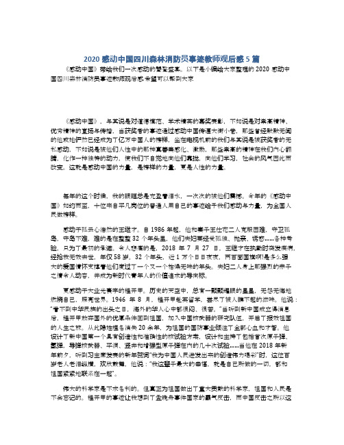 2020感动中国四川森林消防员事迹教师观后感5篇