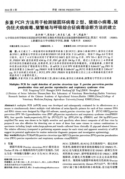 多重PCR方法用于检测猪圆环病毒2型、猪细小病毒、猪伪狂犬病病毒、猪繁殖与呼吸综合征病毒诊断方法的建