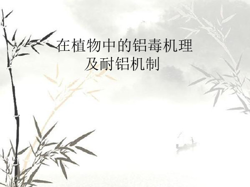 植物中的耐铝机制