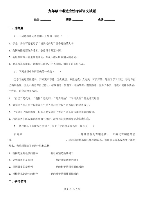 九年级中考适应性考试语文试题