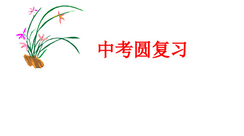 上海市初三数学圆中考复习