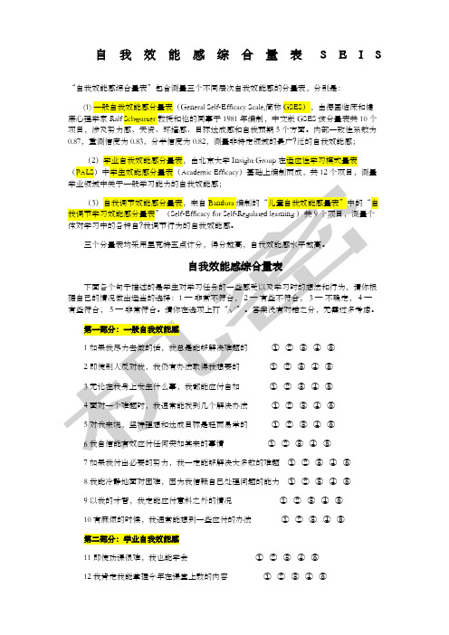 自我效能感综合量表SEIS