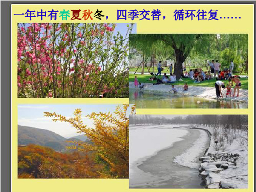五年级下册科学课件  7 为什么一年有四季  教科版   共17张