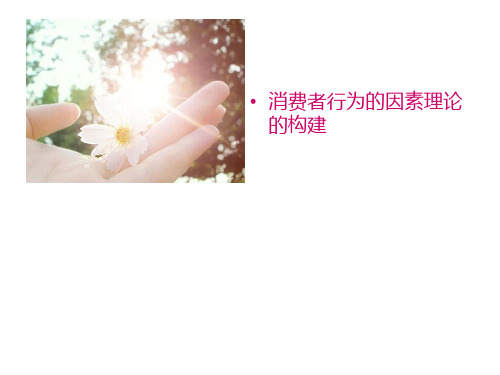 双因素理论与三因素理论的应用