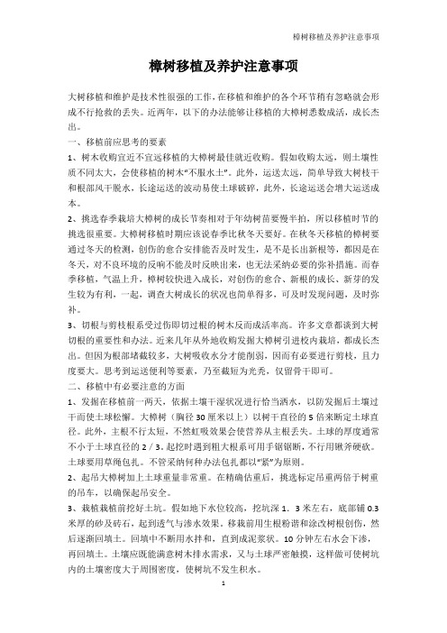 林学-樟树移植及养护注意事项
