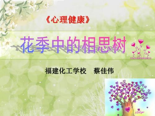 《花季中的相思树》说课课件