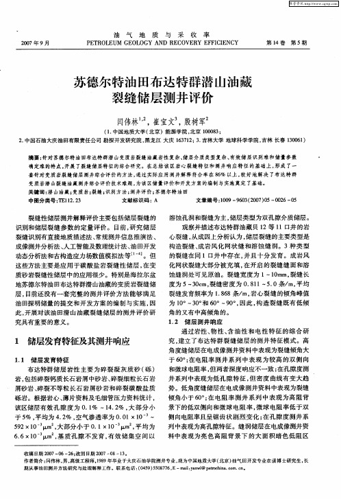 苏德尔特油田布达特群潜山油藏裂缝储层测井评价