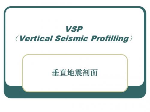 垂直地震剖面VSP