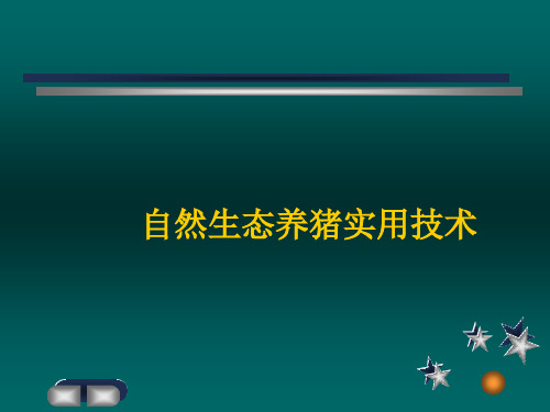 自然生态养猪实用技术讲稿