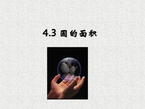 上海教育版数学六上4.3《圆的面积》(第1课时
