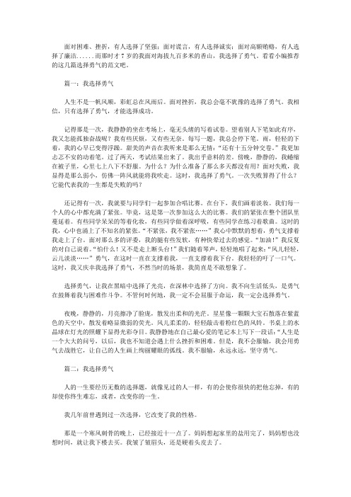 我选择勇气作文