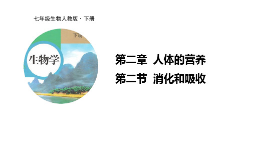 人教版七年级下册4.2.2 消化和吸收 课时(32张ppt%29