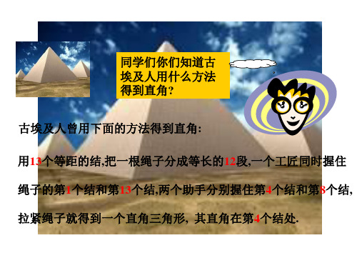 由边的数量关系识别直角三角形