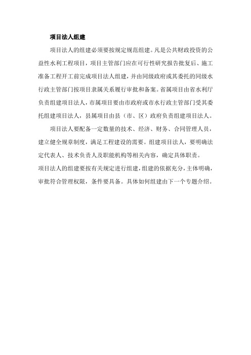 项目法人组建