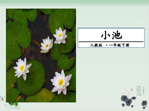 部编版小池优质课件-PPT1