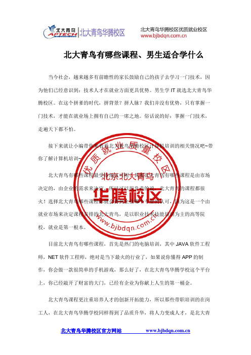 北大青鸟有哪些课程、男生适合学什么