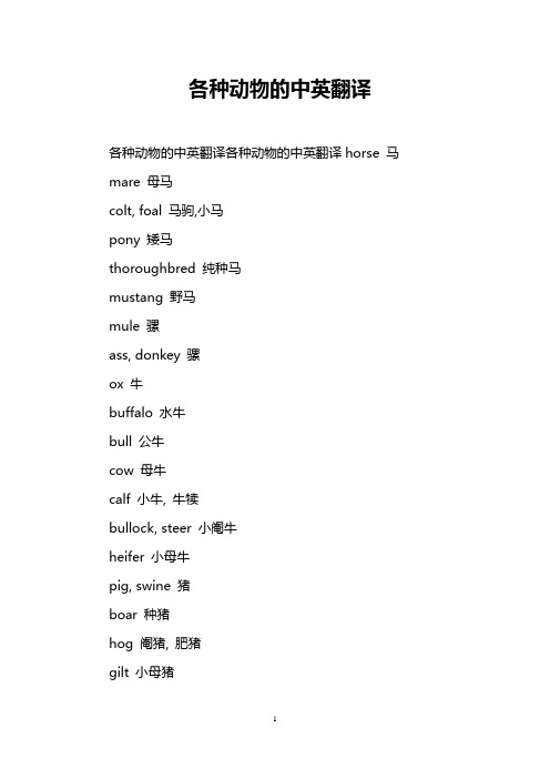 各种动物的中英翻译