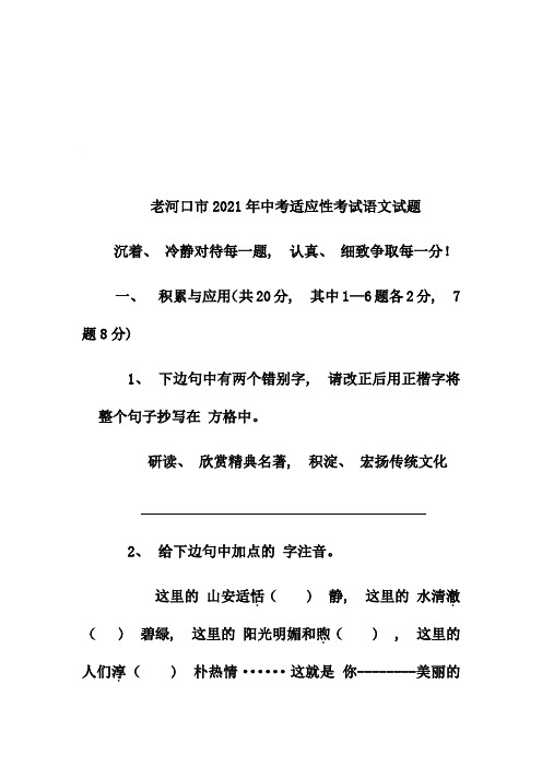 老河口市中考适应性考试语文试题