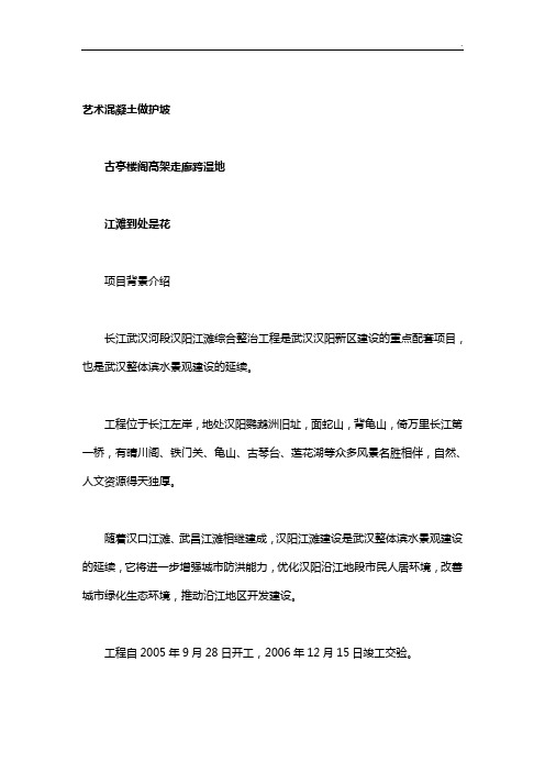汉阳江滩(04)