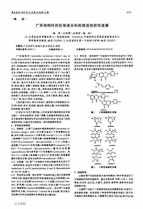广东地构叶的化学成分和药理活性研究进展