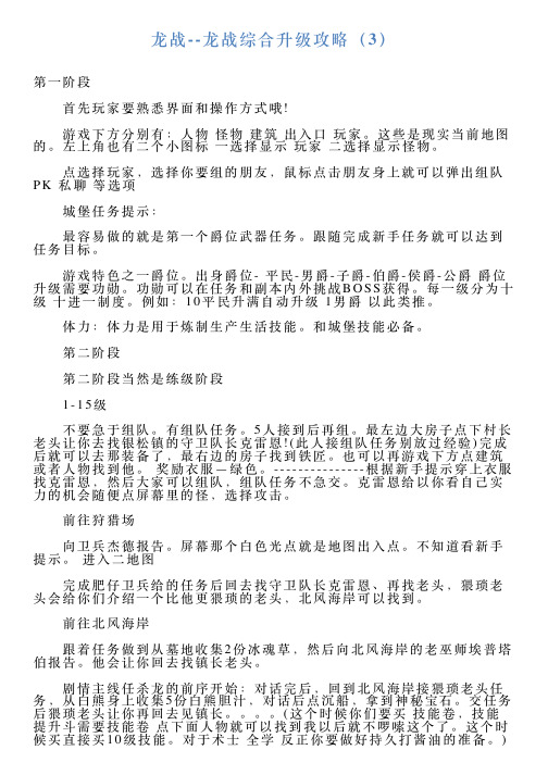 龙战龙战综合升级攻略(3)