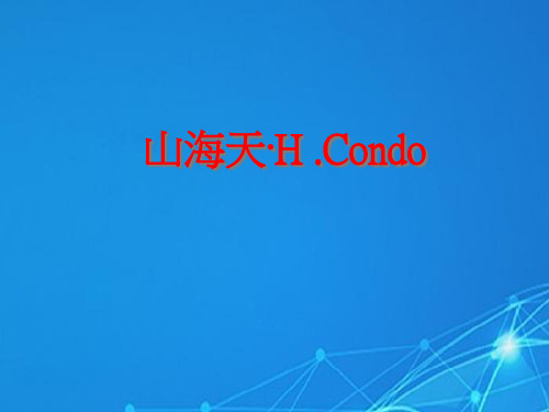 三亚山海天项目营销提案(77ppt)