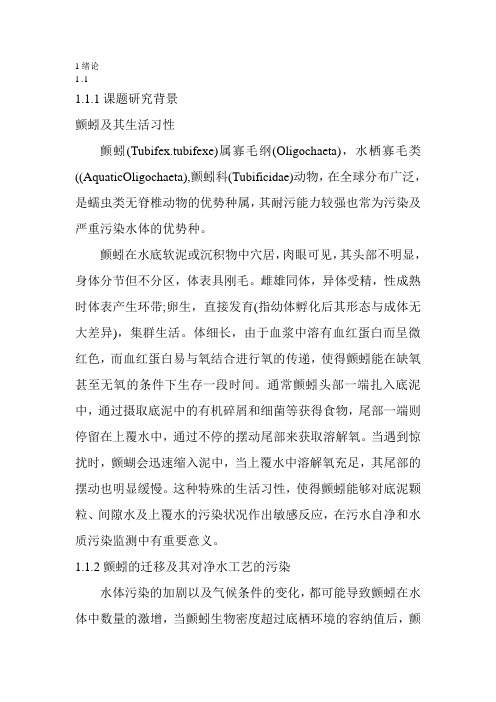 水丝蚓(颤蚓)