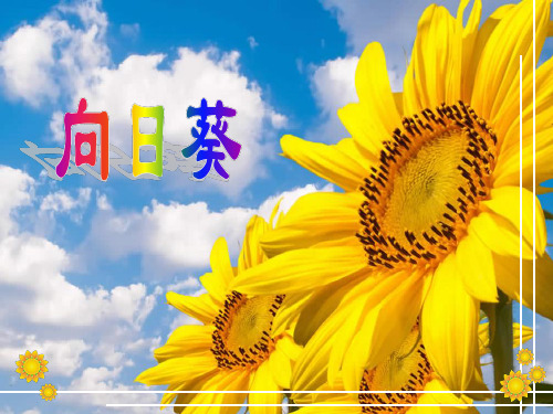二年级美术向日葵ppt课件