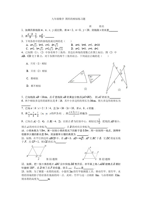 九年级数学上册 图形的相似复习题