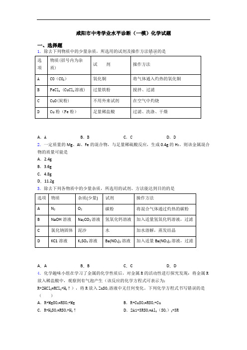 咸阳市中考学业水平诊断(一模)化学试题