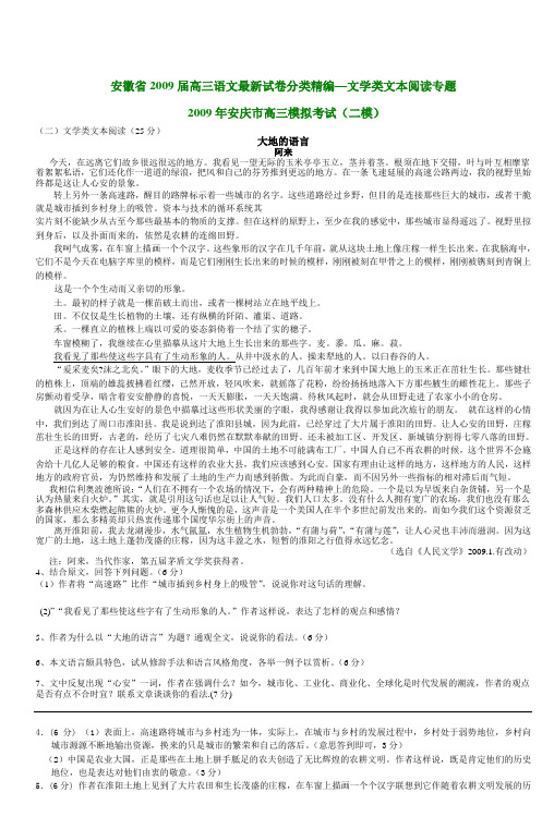 安徽省2009届高三语文最新试卷分类精编文学