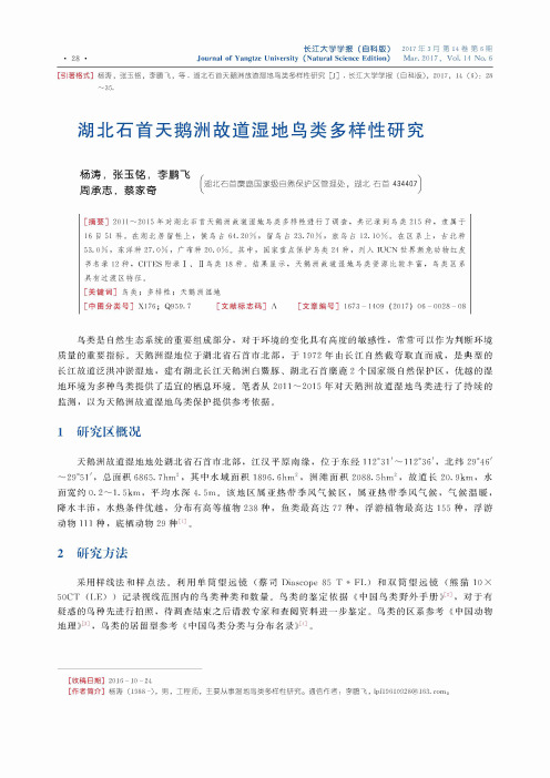 湖北石首天鹅洲故道湿地鸟类多样性研究