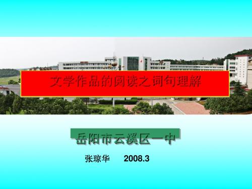 高考复习文学作品的阅读之词句理解ppt