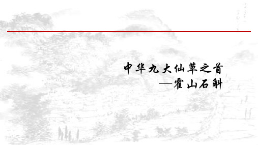 霍山石斛产品介绍-邬正