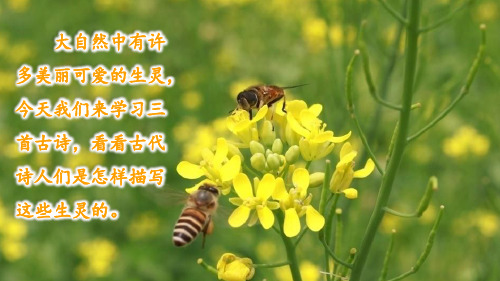 2020春部编版语文三年级下册-1 古诗三首-优秀课件.pptx