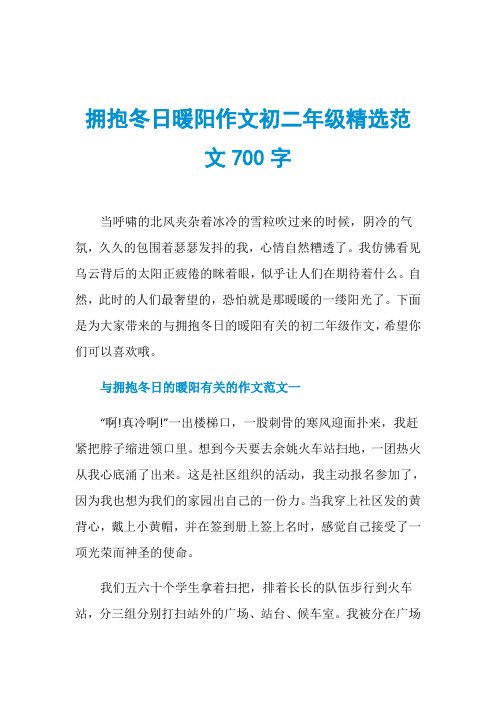 拥抱冬日暖阳作文初二年级精选范文700字