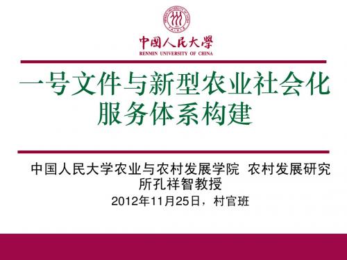 孔祥智(一号文件与新型农业社会化服务体系构建)