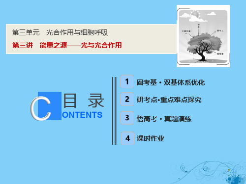 2019版高考生物一轮复习第三单元光合作用与细胞呼吸第三讲能量之源光与光合作用