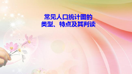 高中地理课件-人口统计图专题