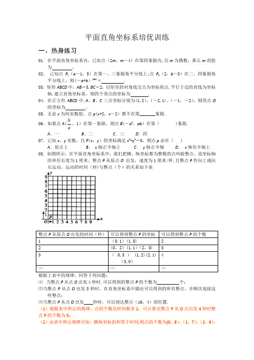0312平面直角坐标系培优训练