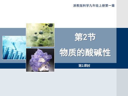 浙教版九年级上册科学《物质的酸碱性》(第一)精品PPT教学课件